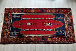 Ördekli halı