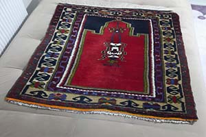 Ördekli halı